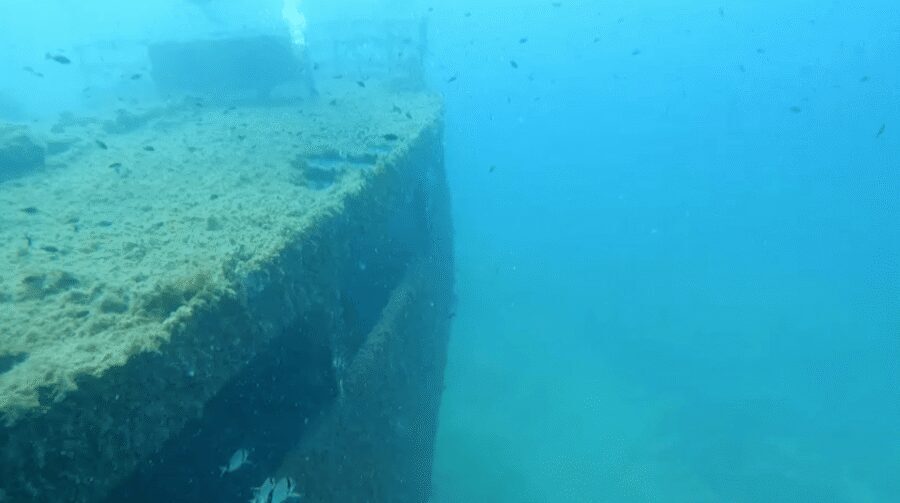 Scuba Diving - Dive for certified divers - Price and Inclusions That Actually Add Up