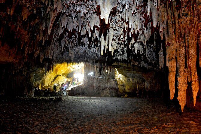 Sea Caving Excursion by Boat in Mallorca - Inside Cova des Coloms: stalactites, small climbs, and those mirror-water pools