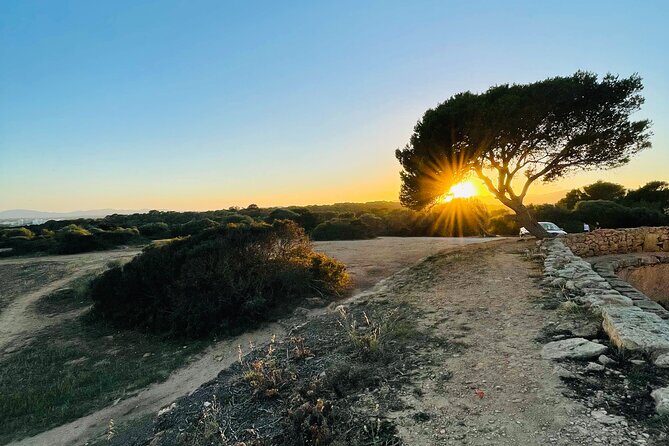 Self-guided Walking Tour and Outdoor Escape Game in Cala Millor, in German - Punta de n’Amer Nature Resort: 15 Clue Stops in a Real Walking Route