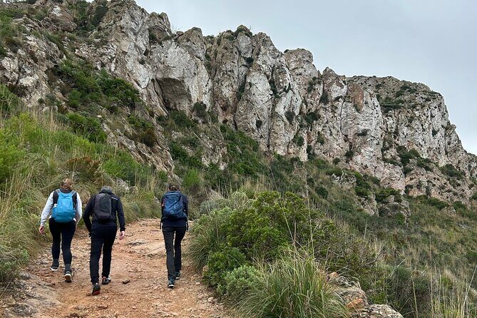 Sierra de Tramuntana hike with small picnic - Logistics that actually help (mobile ticket, meeting point, and group size)