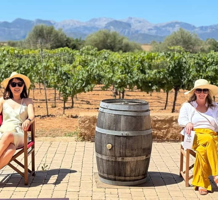 Small group- Exclusive Olive Oil & Wine Tour Mallorca - Key things you should know before you go