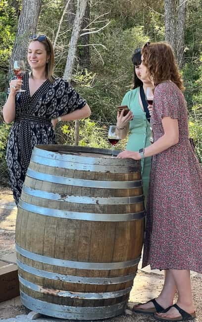 Small group- Exclusive Olive Oil & Wine Tour Mallorca - Wine + tapas pairing: why the food isn’t an afterthought