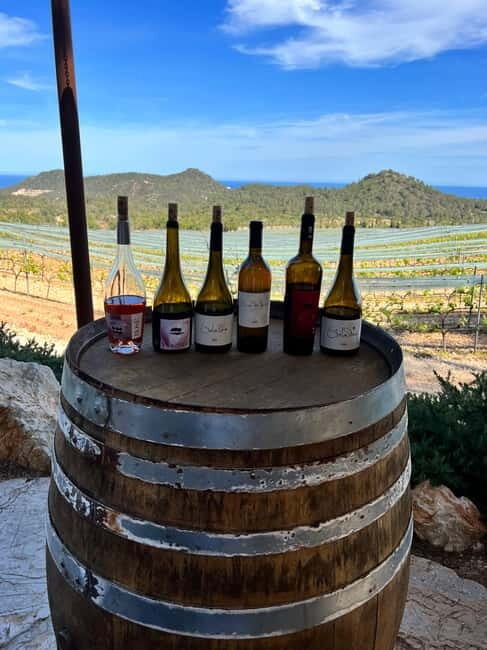 Small group- Exclusive Olive Oil & Wine Tour Mallorca - Small group access: the difference between tasting and learning