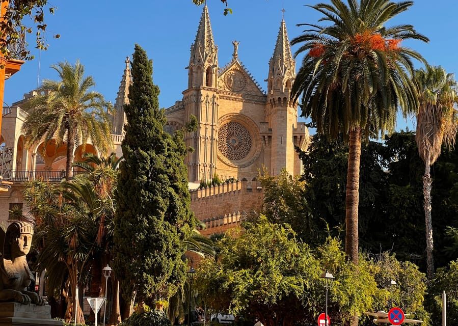 Small group- Exclusive Olive Oil & Wine Tour Mallorca - Comfort, timing, and who it fits best