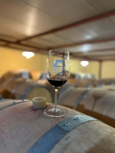 Small group- Exclusive Olive Oil & Wine Tour Mallorca - Should you book this olive oil and wine tour?