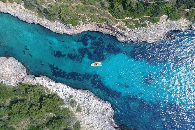 Snorkeling in the Natural Park of Mallorca by boat - Should You Book Skualo Porto Cristo’s Snorkel Boat Trip?