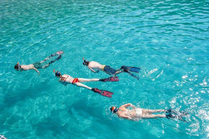 Snorkeling Tour to the Malgrats Islands by boat - Why the Malgrats Islands tour fits snorkel beginners (and families)