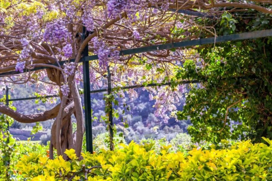 Sóller: Jardines de Alfabia Entrance Ticket - Arab gardens with an English landscaping twist