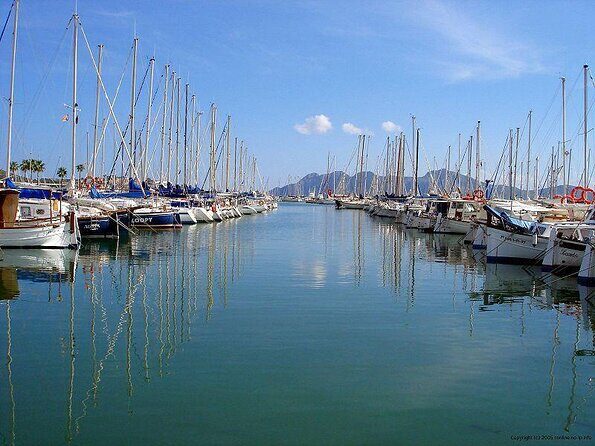 Sunrise Boat Trip in Mallorca with Dolphin-Watching - Key Highlights You’ll Actually Care About