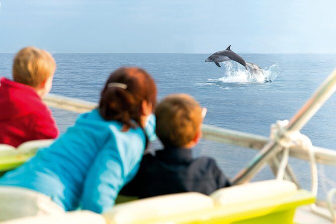 Sunrise Boat Trip in Mallorca with Dolphin-Watching - Price and Value: What $74.49 Gets You (and What It Doesn’t)