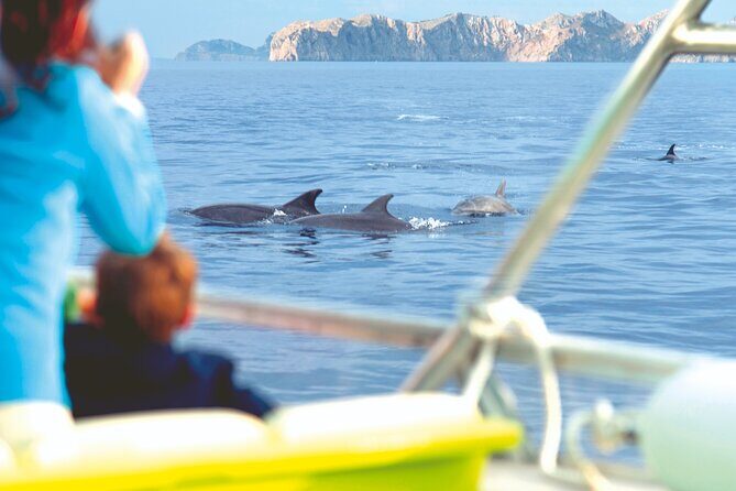Sunrise Boat Trip in Mallorca with Dolphin-Watching - The Dolphin-Watching Part: How to Think About Time at Sea