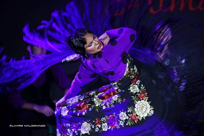 Tablao Flamenco Alma - Live Flamenco Show - Tablao Flamenco Alma in Palma: a short show with big flamenco energy
