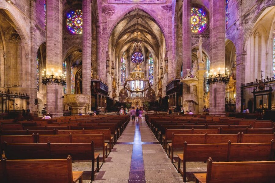The Best of Palma: Boat trip, Walking tour and Cathedral - 3.5 hours of Palma highlights: how the day flows