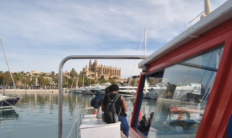 The Best of Palma: Boat trip, Walking tour and Cathedral - Languages, guide style, and group vibe