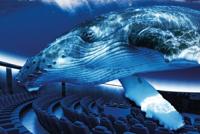 Ticket Palma Aquarium - Key highlights you’ll notice right away
