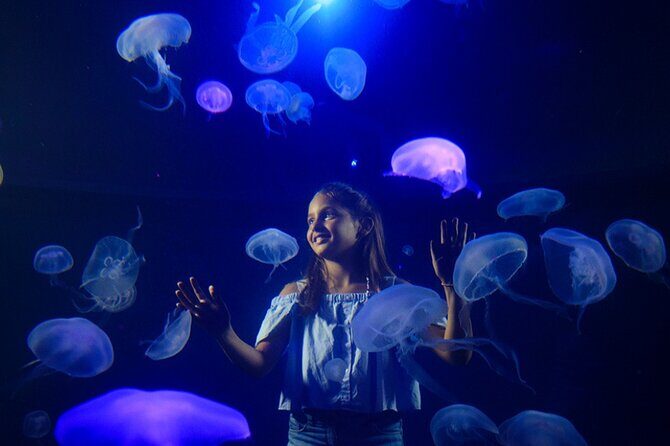 Ticket Palma Aquarium - Family-Friendly Extras: Splash Pad, Mini Water Fun, and Indoor Play