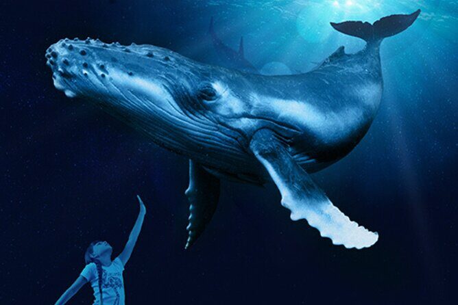Ticket Palma Aquarium - Price and Value: When $36.55 Feels Right