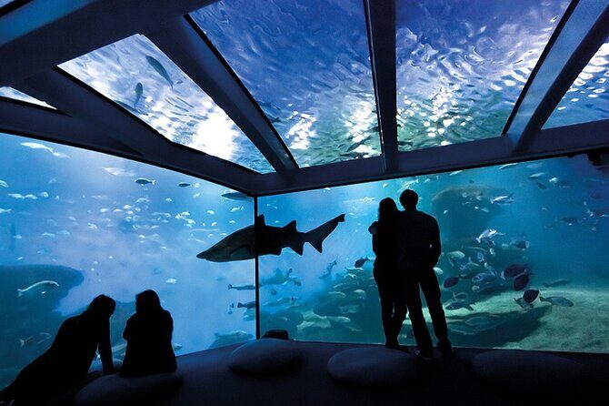 Ticket Palma Aquarium - Getting There in Palma: Meeting Point and Easy Access