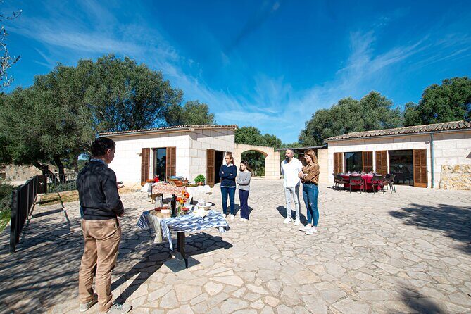 Tour to olive grove and olive mill, oil tasting and snack - Inside the olive mill: turning fruit into EVOO