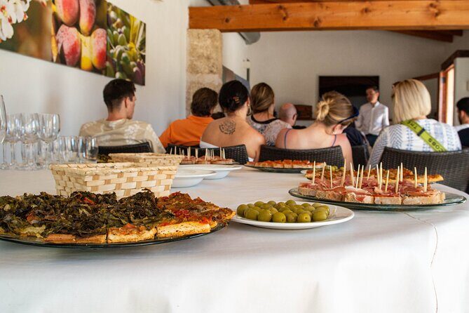 Tour to olive grove and olive mill, oil tasting and snack - The EVOO tasting: how to notice differences without getting technical