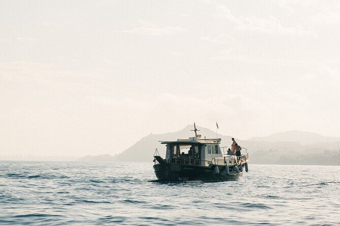 Traditional Boat Sailing Tour from Port of Palma - Onboard lunch with a Majorcan menu and selected drinks
