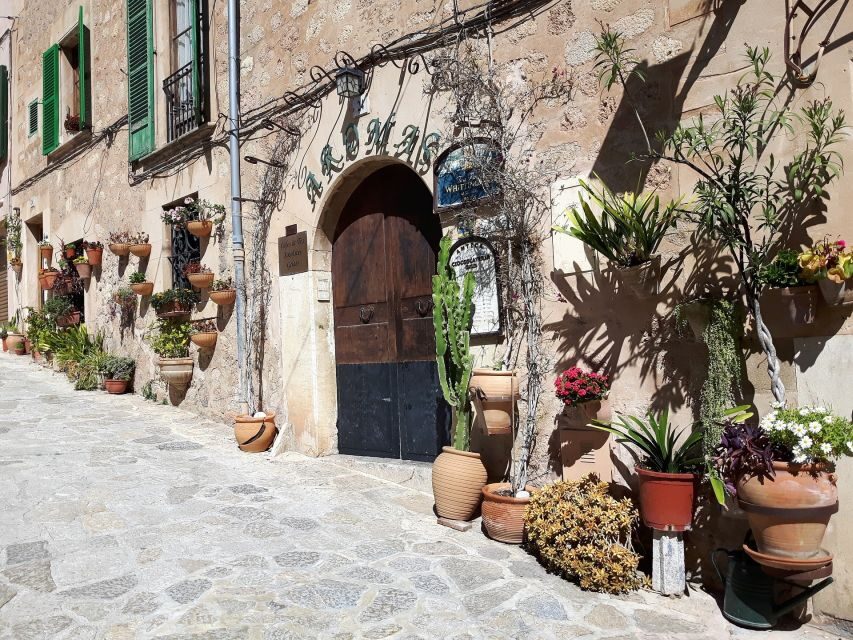 Tramuntana Panorama Tour - Soller, Deiá, Valldemossa - Price and Value: Is It Worth $221?