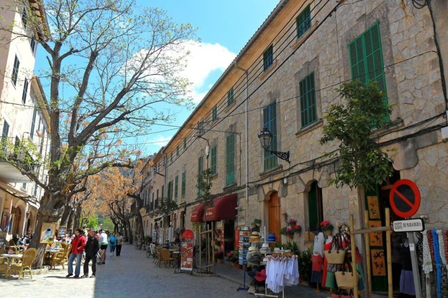 Tramuntana Panorama Tour - Soller, Deiá, Valldemossa - Who This Tour Fits Best (and Who Might Want Another Plan)