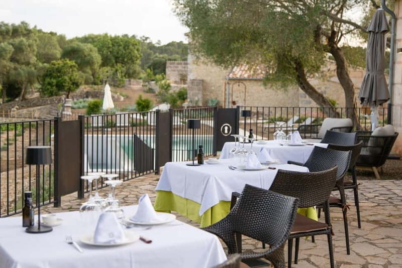 Treurer: Olive Oil Night. Gastronomic experience - Key Things I’d Prioritize
