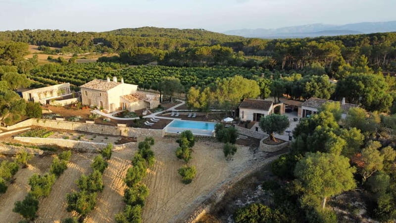 Treurer: Olive Oil Night. Gastronomic experience - Entering Treurer EVOO: what makes this an evening, not a quick stop