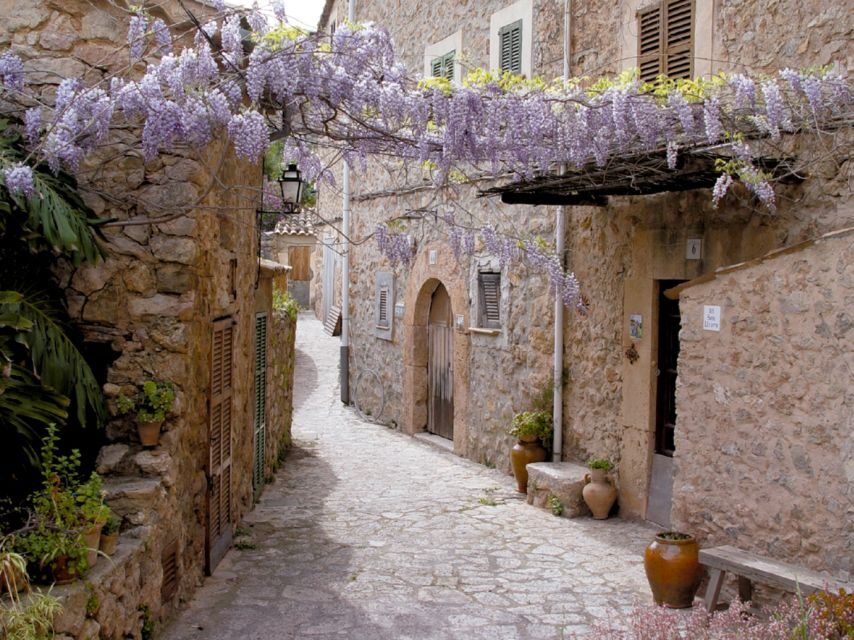 Valldemossa: Discover Valldemossa with a transfer from Palma - Palma to Valldemossa by bus: a simple way into the Tramuntana