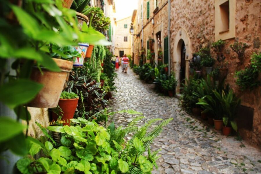 Valldemossa: Discover Valldemossa with a transfer from Palma - Return to Palma: ends where you started