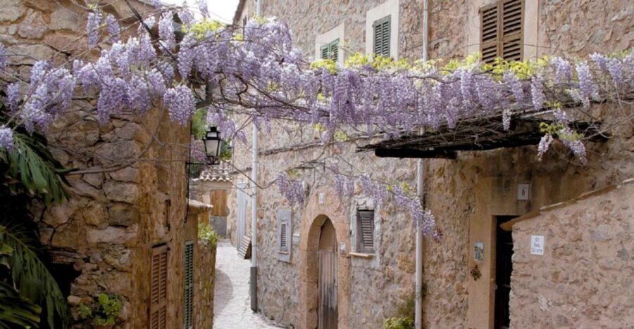Valldemossa: Discover Valldemossa with a transfer from Palma - The guided walking tour: what you’ll actually see