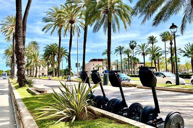 VIP Private Segway Tour of Palma - Plaça Cort and the Olivera de Cort: where the city’s rhythm shows