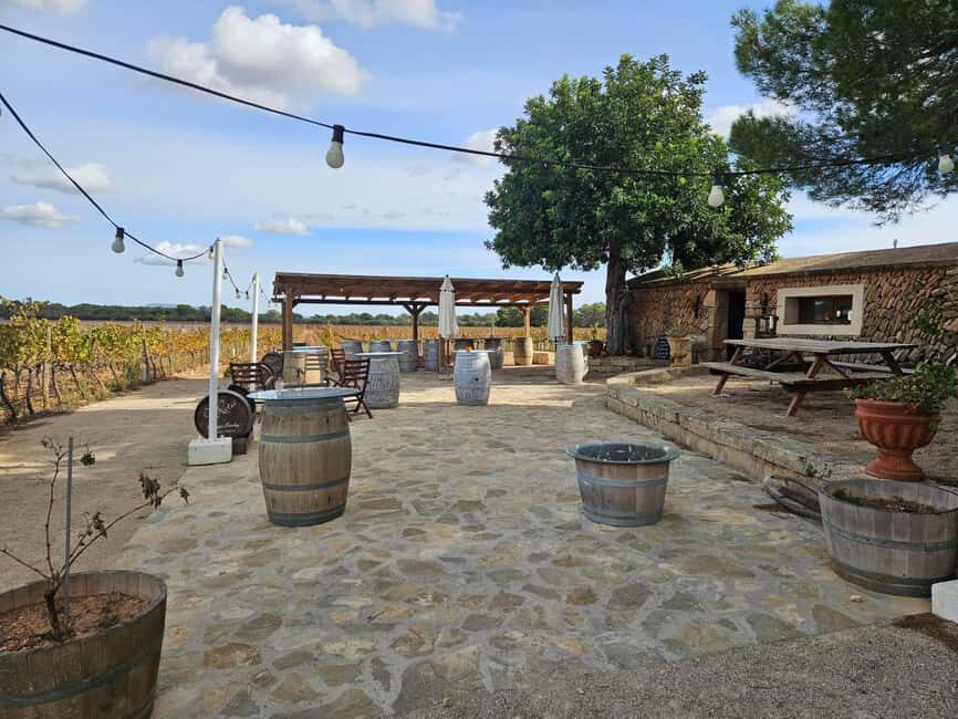 VISIT BODEGAS BORDOY ,DEGUSTACION 5 WINES, FINGER FOOD - Timing and language: pick your 10am, 11am, or 12 noon start