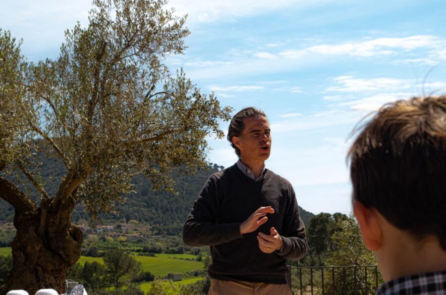 Visit of the olive grove, olive oil tasting and snack - Key highlights you will actually care about
