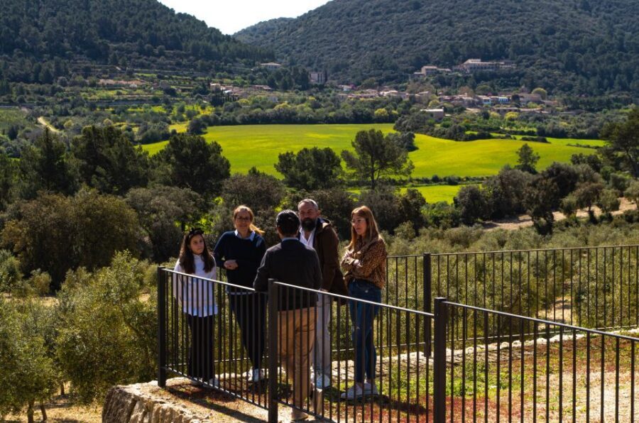 Visit of the olive grove, olive oil tasting and snack - EVOO tasting 101: how to tell extra virgin from other oils