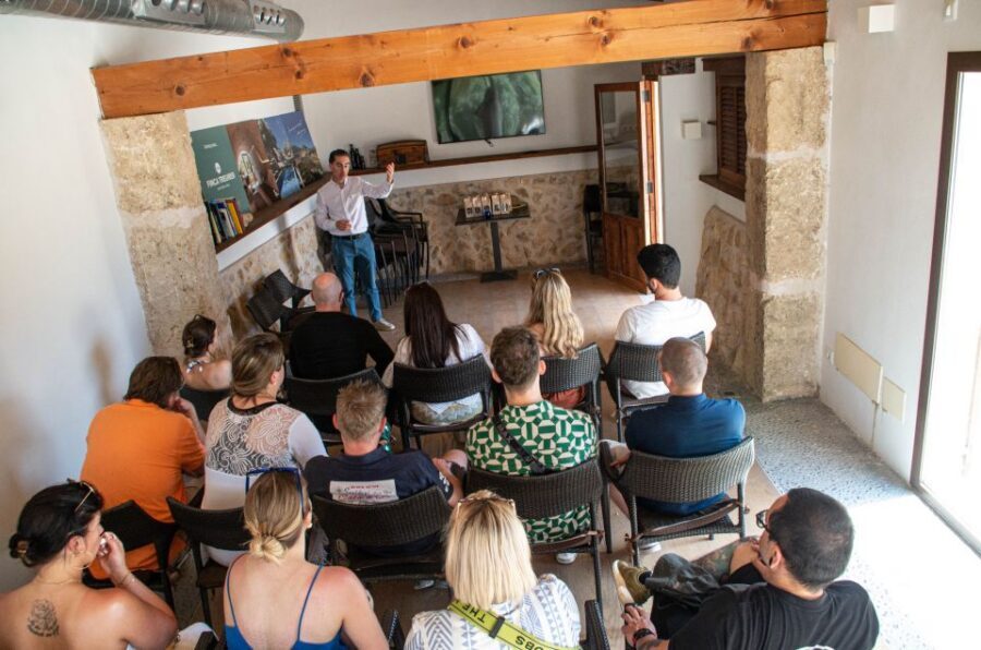Visit of the olive grove, olive oil tasting and snack - Snack and Mallorcan wine: using what you learned at home