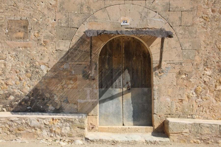 Visit of the olive grove, olive oil tasting and snack - Price and value: what $58 buys in real life