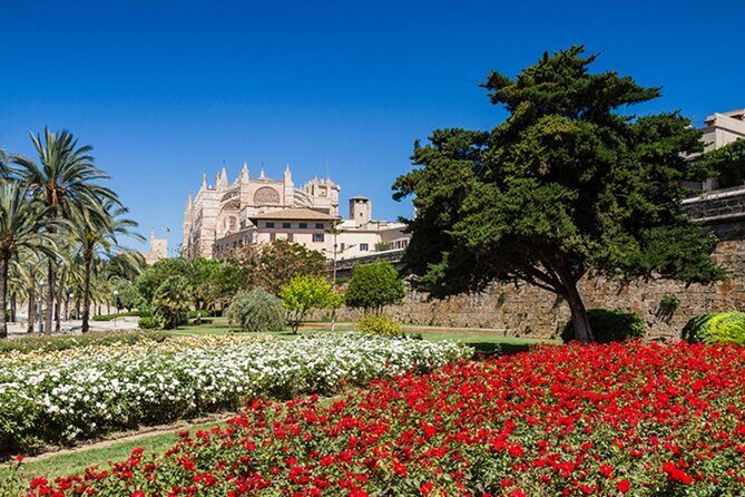 Visit Palma and Valldemossa - Highlights: What Makes This Day Trip Worth Your Time