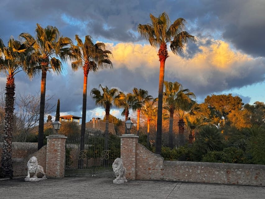 Weinsonntag auf Mallorca - Key points that matter before you go