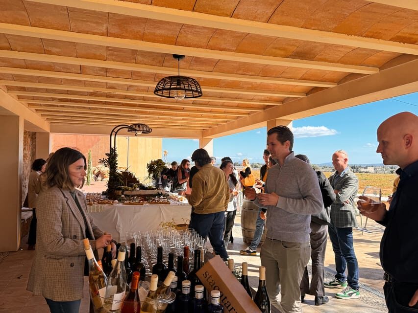 Weinsonntag auf Mallorca - What this Sunday event is really like
