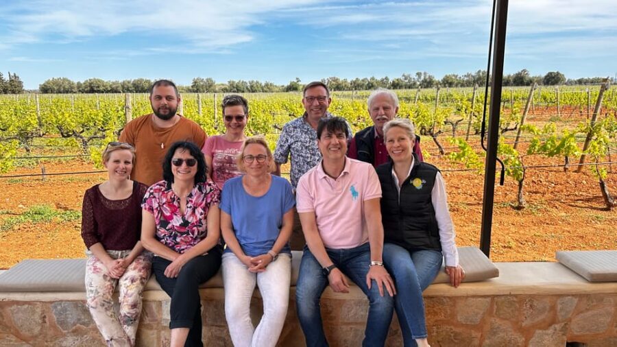 Weinsonntag auf Mallorca - Live music: local performers, background volume, and a good mood