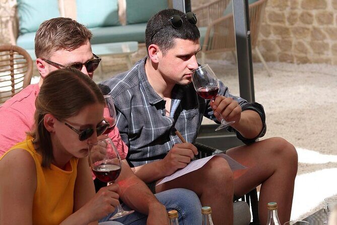 Wine tasting with wines from the smallest wineries in Mallorca - Who should book this Mallorca wine tasting—and who might want a different option